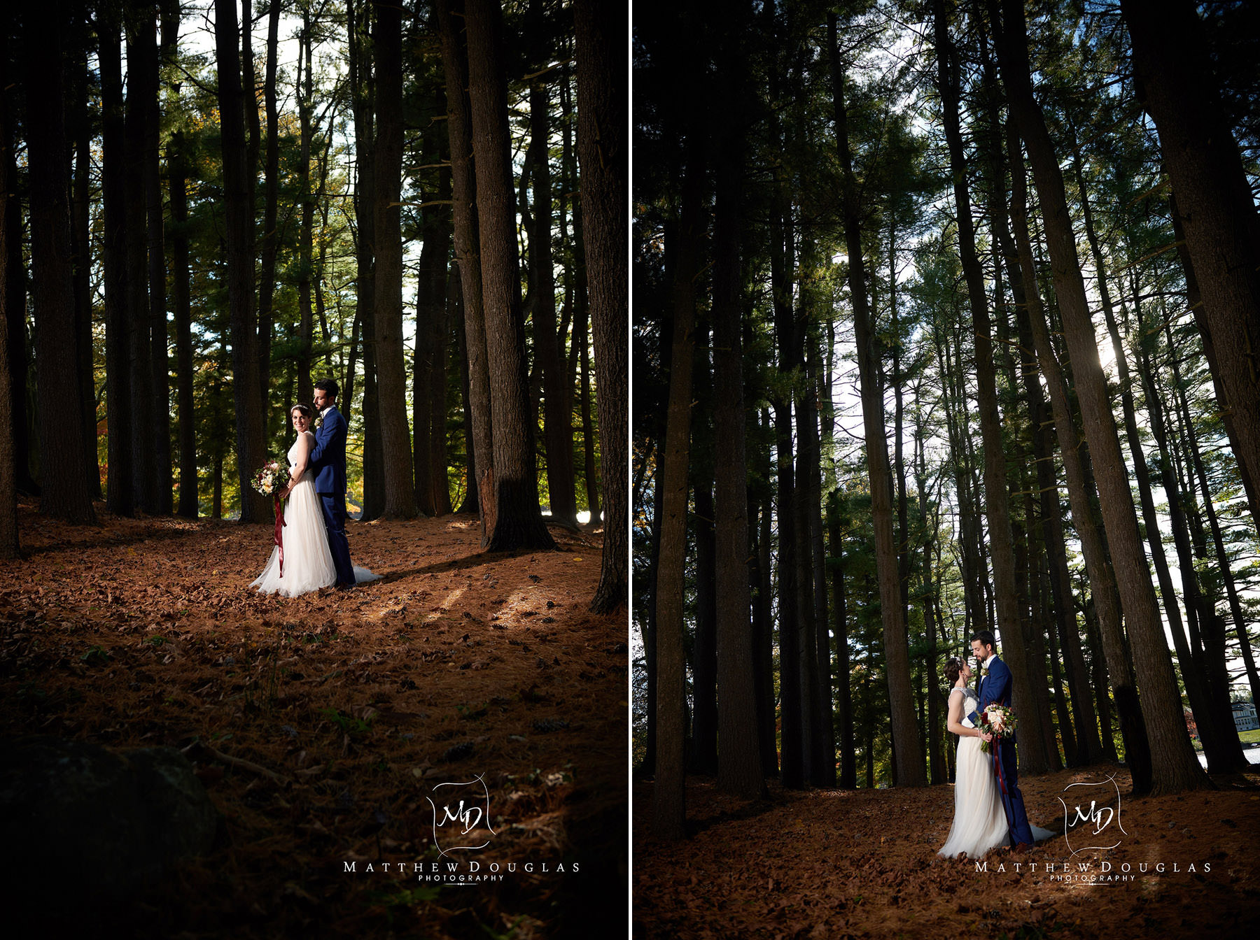 pine grove wedding photos at The Estate at Farrington Lake