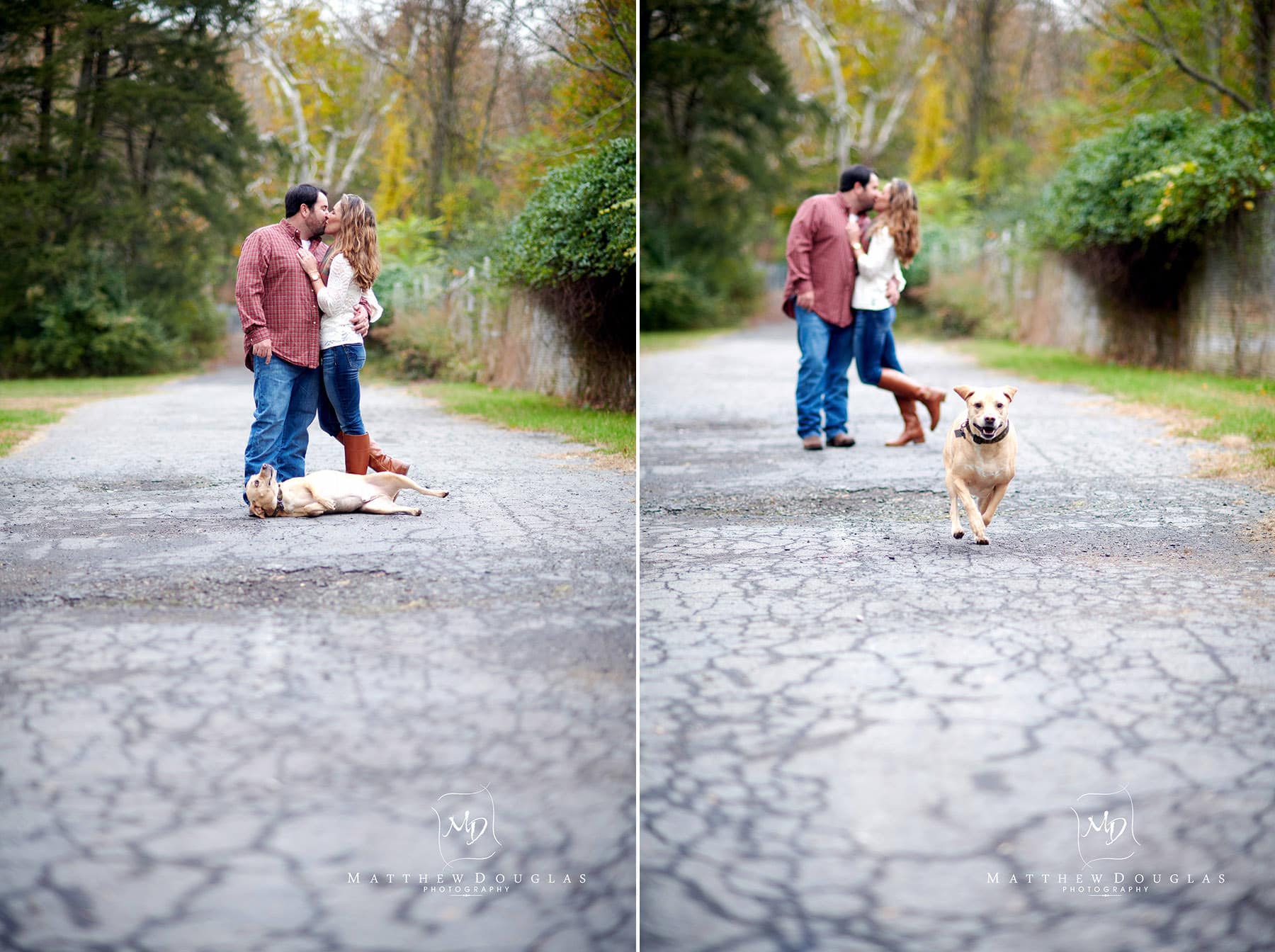 silly dog nj engagement photo