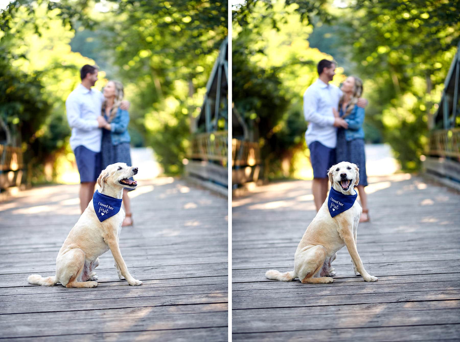 engagement photos with dog