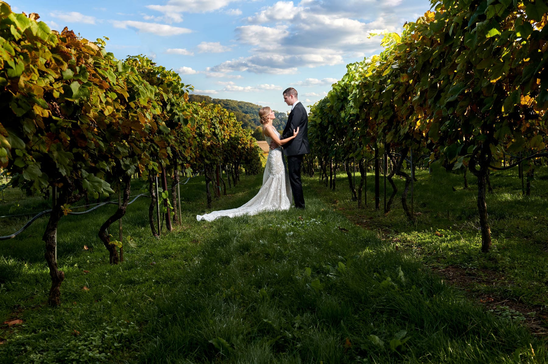 Villa Milagro Vineyards Wedding | Pamela + Bryan