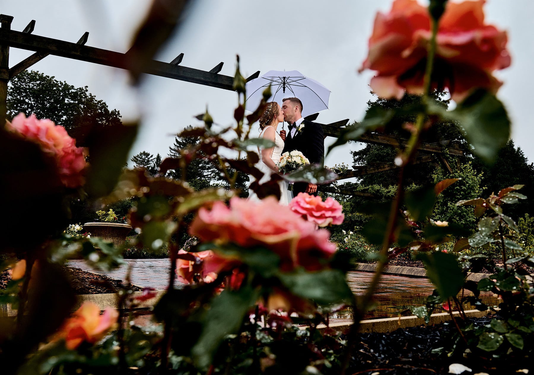 wedding photo in the rain at colonial park rose garden