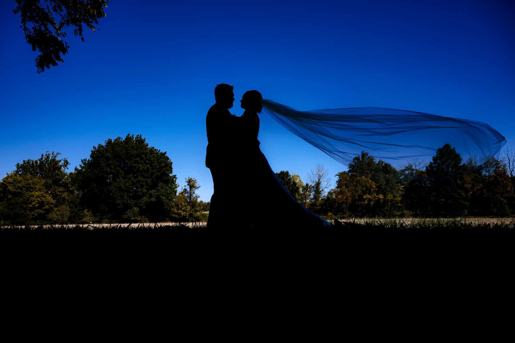 wedding silhouette at The Woolverton Inn